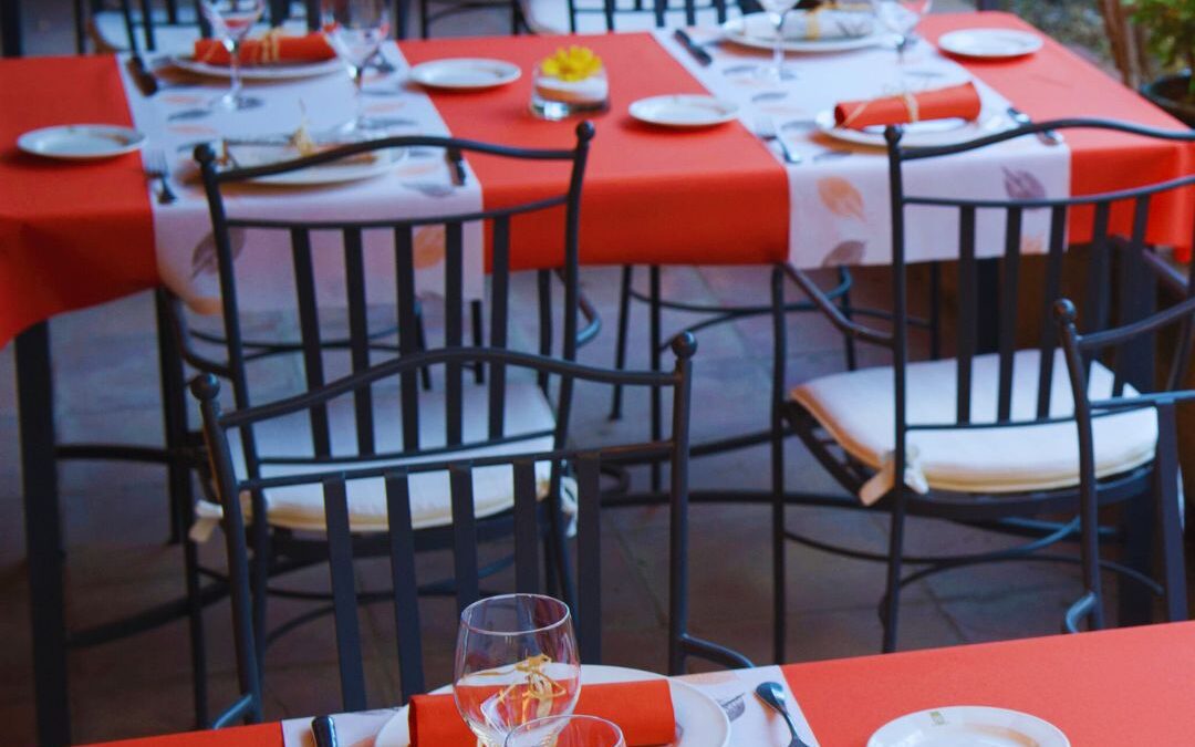 Descubre la gama de servilletas, manteles y caminos de mesa de un solo uso