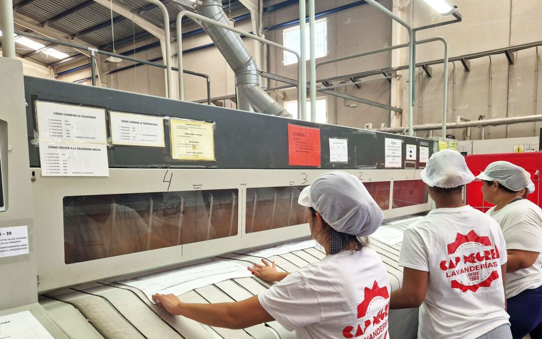 Cap Negret Lavandería Industrial: Excelencia en Servicios de Lavandería en la Marina Baixa y Más Allá